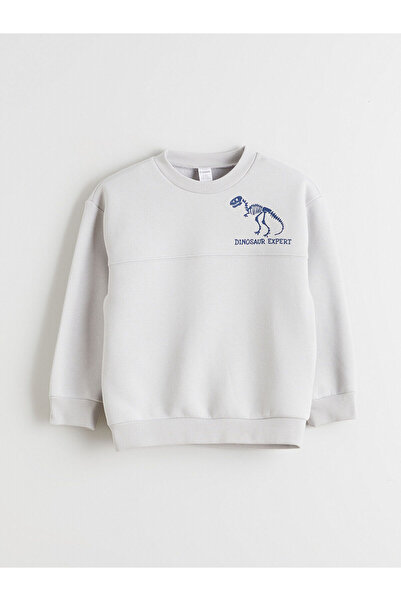 LC Waikiki LCW Kids okrugla kragna Štampano Debeli džemper za dečake