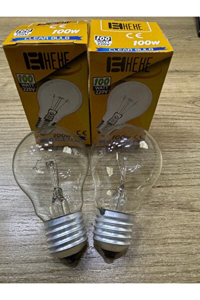 BATTON HEHE helogen ampul 2 li 100 Watt gün ışığı helojen