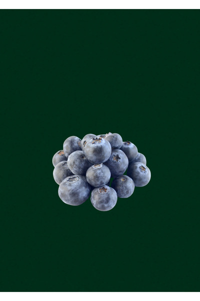 tropibox Blueberry 125 Gr