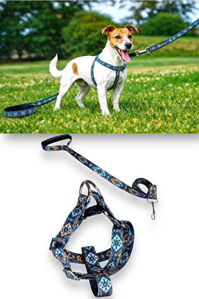 Angelapets Dog Chest Collar and Leash Set
