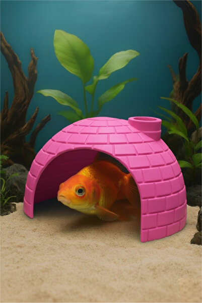 MD×JOA Balık Yuvası ⬢ Testi ⬢ Beta Japon Çöpçü Neon Tetra Lepistes vb Türlere...