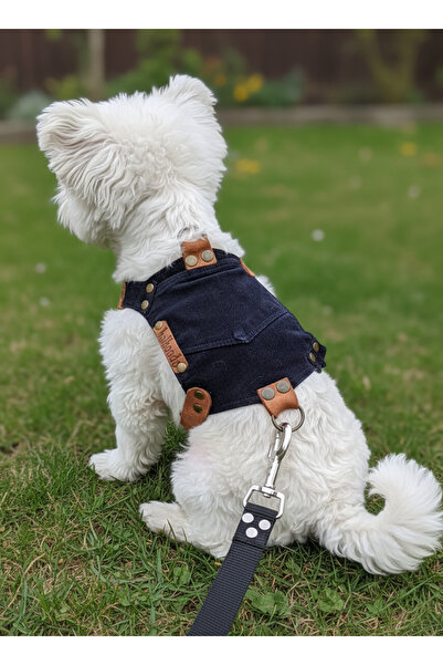 balkonda Dog Collar for Small and Mini Breeds Adjustable Velvet Dark Navy Blue