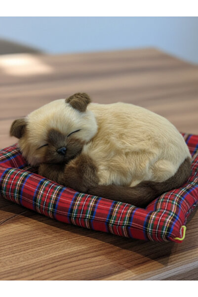 GiFi Peluş Yavru Kedi Oyuncak Minder Üstünde Uyuyan Kedi Orta Boy