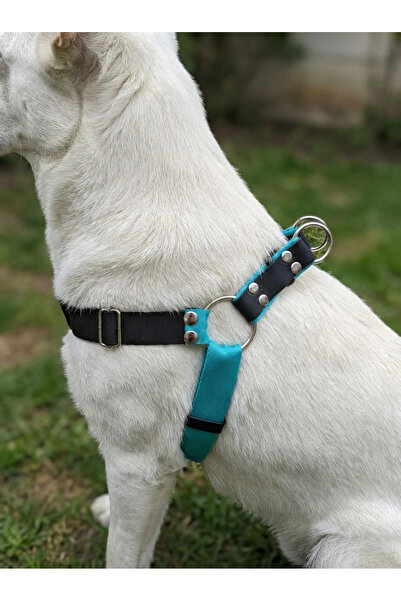 balkonda Dog Collar Small, Medium and Large Breeds Adjustable Column Cord Turquoise & Black