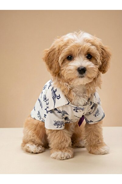 bellorsi Mükemmel Kalıp Küçük Irk Köpek ve Kedi İçin Çıtçıtlı Yakalı Mevsimli...