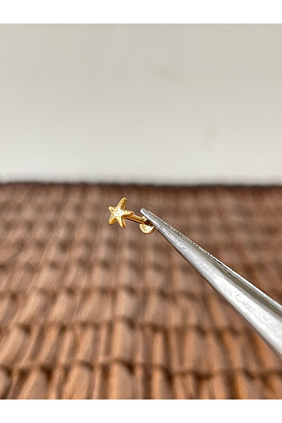 Rupen Kraft Yüksek Kalite G23 Titanium TT089 Zirkon Altın Titanyum 7x1.2mm La...