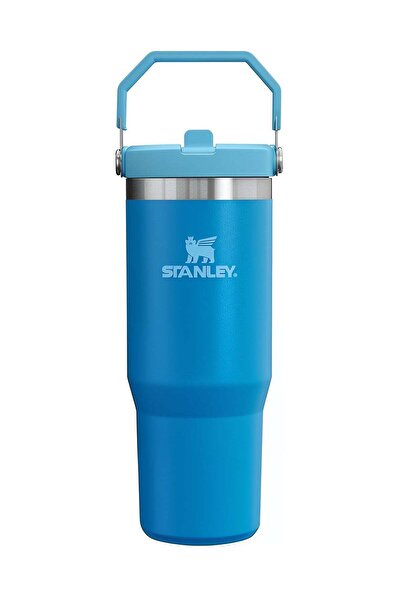 STANNLEY IceFlow 30oz Flip Straw Tumbler
