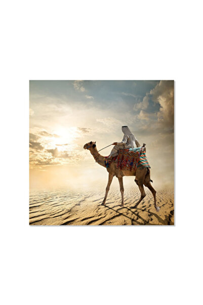 Printoot لوحة فنية قماشية لجمل صحراوي، طباعة منظر غروب الشمس، ديكور جداري عربي، ملصق تصوير فوتوغرافي للسفر