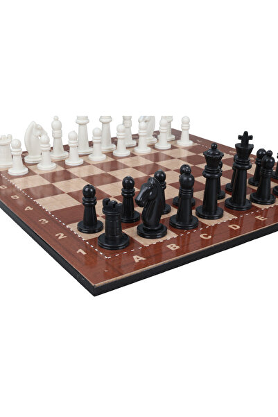 moontime alaçatı Şık Çantalı Plastik Satranç Takımı, Mini Boy Taşlı Oyun Seti