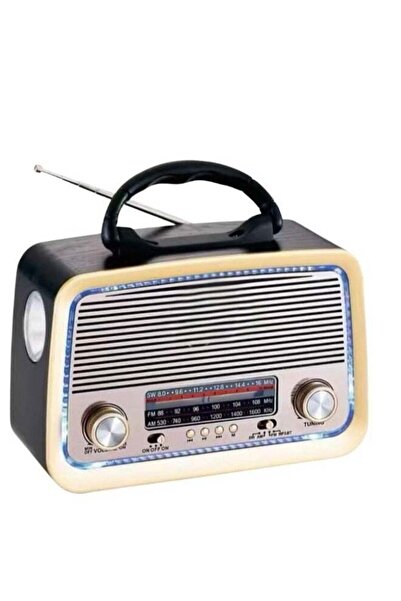 Micro Speed Hi-Fi Radio, FM/AM 3 Band, USB/TF/BT Player, Rechargeable Battery (Black)