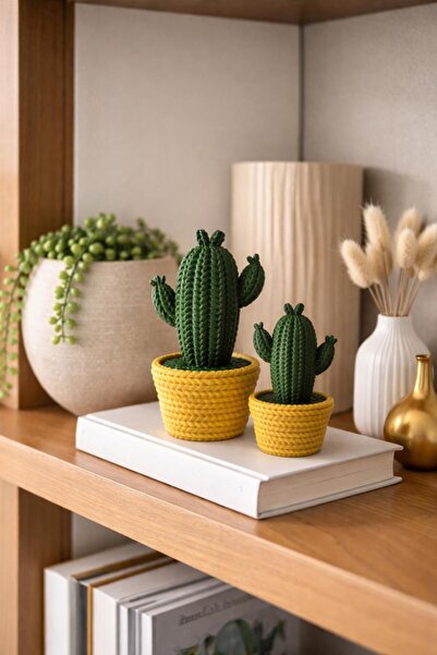 NOVATECH İNOVASYON Örgü Görünümlü Kaktüs Seti (2’li) Ev Dekorasyonu Masa Üstü...