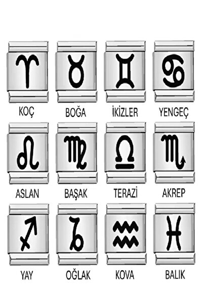 fmaccesories Zodiac Signs Italian Charm Laser Printing 1 Piece Steel Does Not Tarnish Does Not Fade Cannot Be Erased Antiallergic Fmaccesories