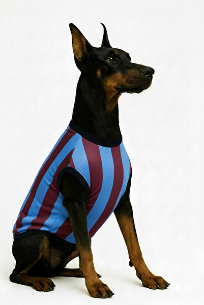 Yumuşak Tüylü Patiler قميص ترابزون للكلاب باللون الأزرق العنابي - للسلالات ال...