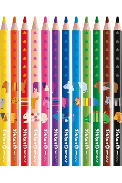 Genel Markalar Combino 12li Jumbo Üçgen Kuru Boya