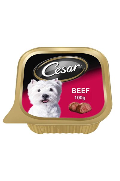 CESAR طعام رطب للكلاب بنكهة لحم البقر، وجبة رطبة مغذية للقطط البالغة