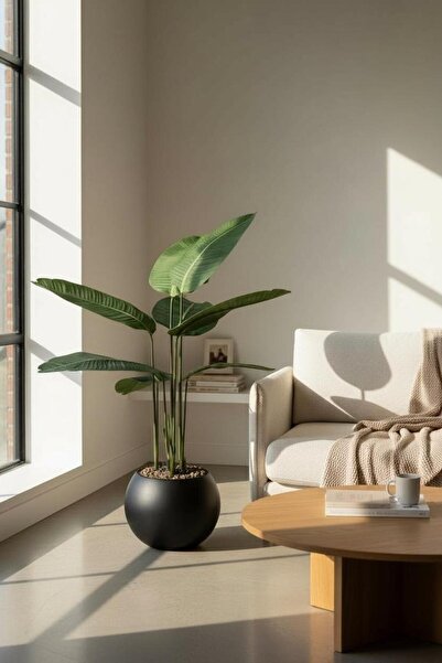 Casco Artificial banana tree with a stylish 120cm round pot