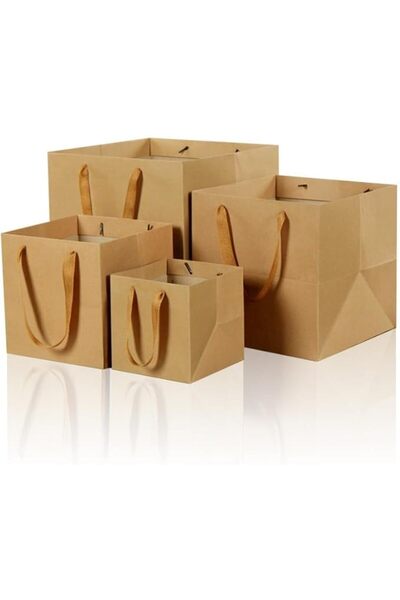 Arabest 10PCS Eco-Friendly Kraft Paper Bags with Sturdy Handles, Recyclable and Biodegradable Gift Bags