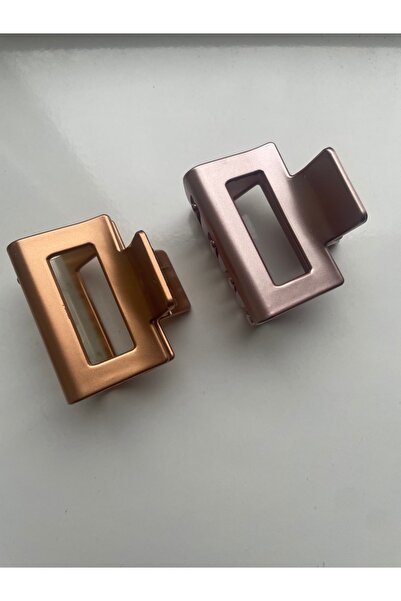 DerinAA STORE Mini Latch Buckle 2-Pack