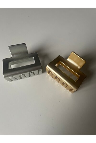 DerinAA STORE Mini Latch Buckle 2-Pack