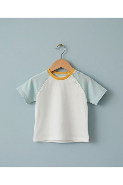 Csp Cassiope Combed Cotton Fabric 100% Cotton Single Baby T-Shirt