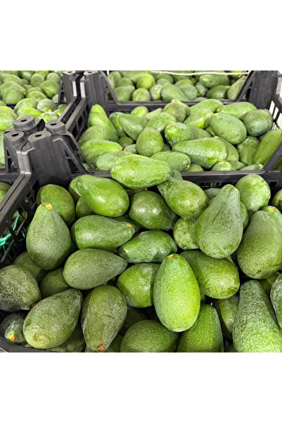 Meyve Avokado 1 Kg