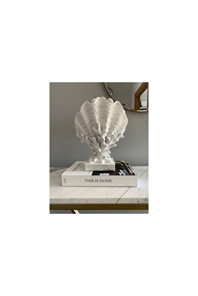 Vivense MERCAN ÜZERİNDE KAPALI DENİZ KABUĞU