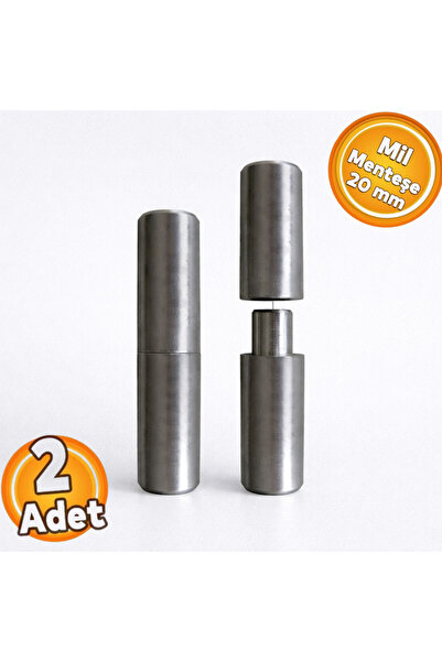 İnci Shaft Hinge 20 mm Iron Door Hinge Shaft Hinge (2 Pieces)