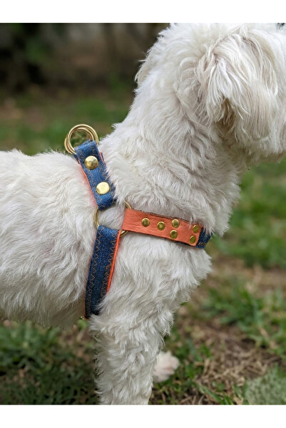 balkonda Dog Collar Small and Mini Breed Adjustable 1.5 cm Width Denim Blue