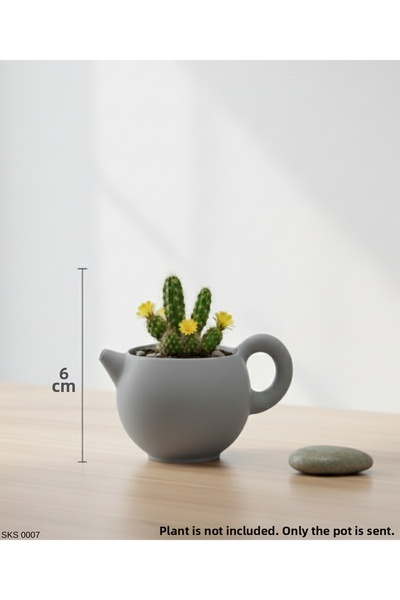 EGATOPTAN Gray Teapot Shaped Mini Decorative Flower Pot 6 cm Tabletop Office ...