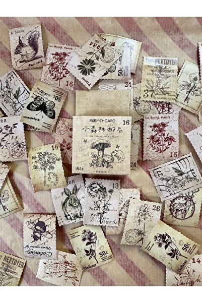 Padme studio Retro Doğa Temalı Kutulu Sticker 46 adet(YAPIŞKANLI)