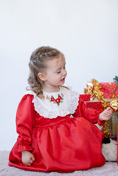 ALYRA Kız Çocuk Uzun Kollu Çiçek Nakışlı Astarlı Kabarık Özel Gün Doğum Günü ...