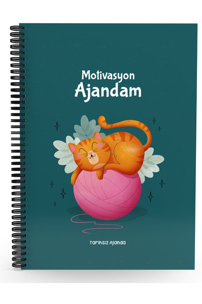 Testfen Yayınları Agenda mea motivantă nedatată-(cu adăugarea de autocolante ...