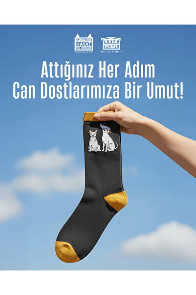 Küpeli Güzeller Köpekli Çorap