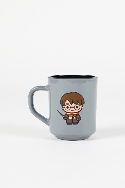 Rakle Harry Potter Kupa Gri 246 cc