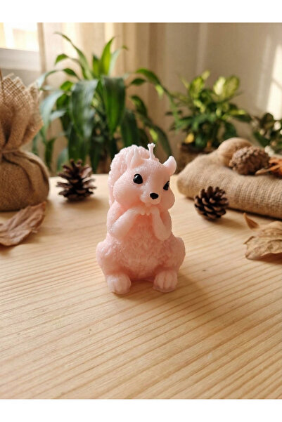 NovaNestbyYA Dekoratif Kokulu Sincap Mum | Ev & Ofis & Banyo | 7x5 cm | El Y ...