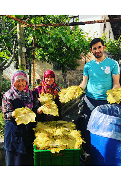 Yöreden Mutfağa Tokat erbaa ince damarsız narenciye yaprağı 5 kg