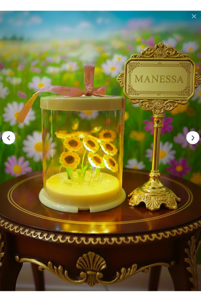 Manessa Dekoratif Led Işıklı Papatya Fanusu Sevgiliye Özel Öğretmenler Günü Hediyelik Fanus