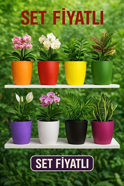 Plant Home Power Mix 9 Adet Rengarenk Dekoratif Orkide Saksısı - Orkide Dış Saksıları Toplu Fiyatı