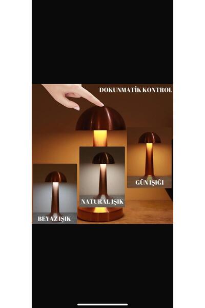 Cata Dekoratif şarjli masa lambasi