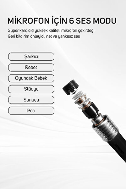 DIVOOM SongBird-HQ Siyah Çift Karaoke Mikrofonlu Bluetooth Hoparlör
