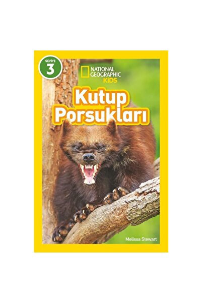 Beta Kids National Geographic Kids – Kutup Porsukları