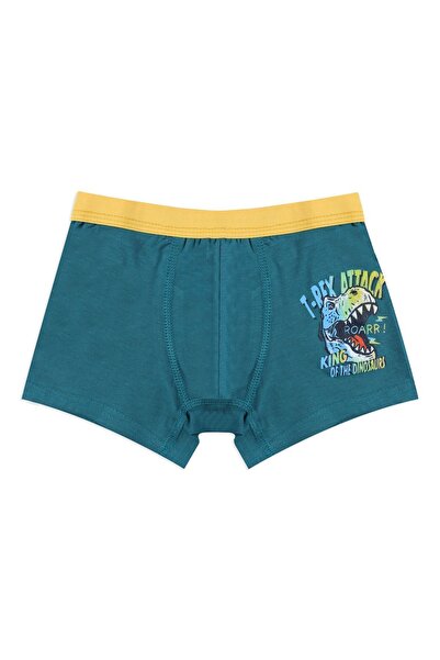 koza iç giyim Erkek Çocuk 3'lü Dinazor Desenli Boxer