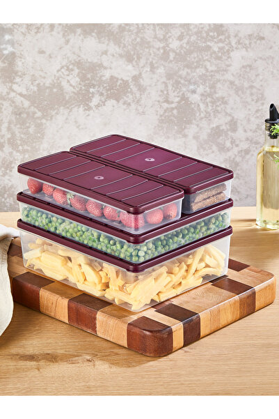 SELKA HOME Set of 4 Nora Organizer Refrigerator Freezer Organizer Storage Containers (1 Piece 4 Lt., 1 Piece 2.25 Lt., 2 a