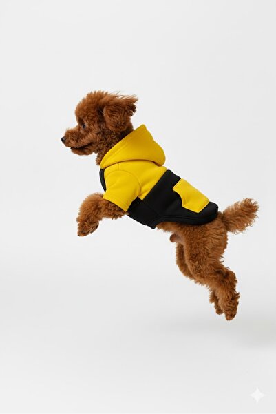 Buddy Store Kontrast Koleksiyonu Kapüşonlu Köpek Sweatshirt – Küçük ve Orta I...