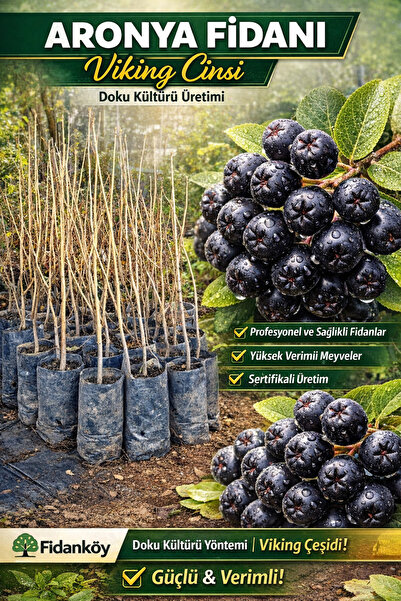 FİDANKÖY Aronya 4/5 yaş büyük poşetli bahce kurulumuna uygun