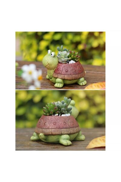 Genel Markalar 2'li Kaplumbağa Saksı Set Sukulent Saksısı Kaktüs Saksısı El I...