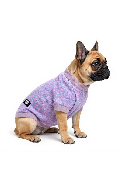 Alphadog Lilac Küçük Irk Köpek Kazağı