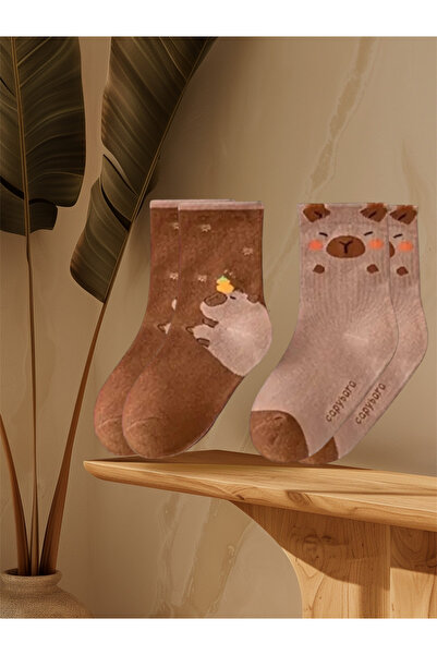 EFA Kapibara Çorap 2 Çift