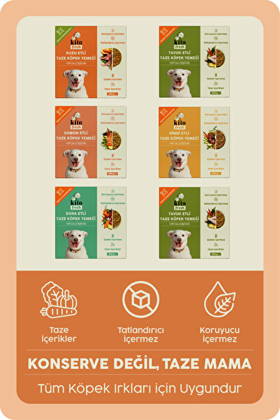kito Fresh Köpekler için %100 Taze İçerikli Mama Tanışma Paketi