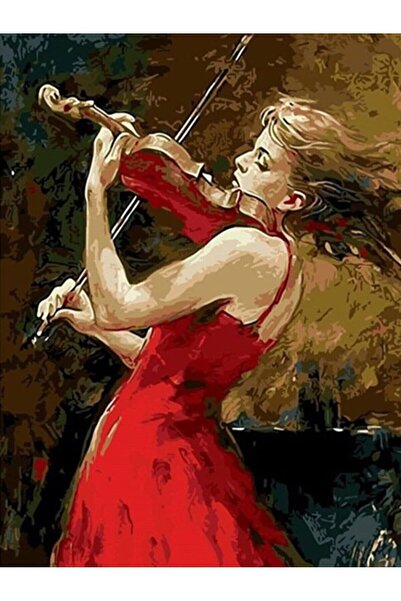 wombhobby Keman Çalan Kız Sayılarla Boyama Seti 40x50 Cm (TUVALE GERİLİ)